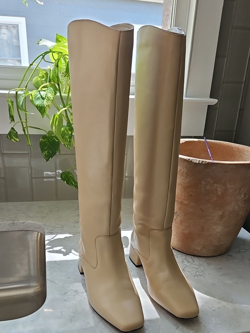 J. Crew Roxie Beige Knee High Leather Boots